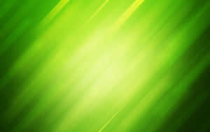 Fondo Verde Claro — Verde oscuro aesthetic Fondos de pantalla