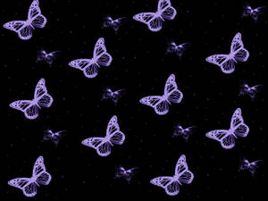 Fondo de pantalla de mariposa púrpura y negra linda — Mariposa aesthetic Fondos de pantalla