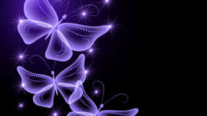 Fondo de Mariposa Estética Encantadora — Mariposa aesthetic Fondos de pantalla