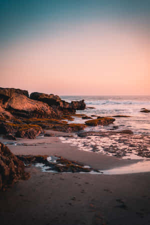 Fondo de naturaleza — Vivo Pad Fondos de pantalla