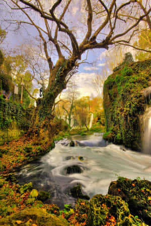 Fondo de naturaleza — Naturaleza Fondos de pantalla