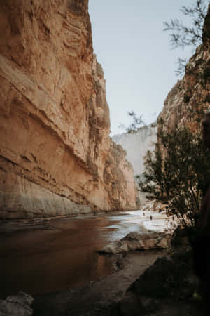 Fondo de naturaleza — Naturaleza Fondos de pantalla