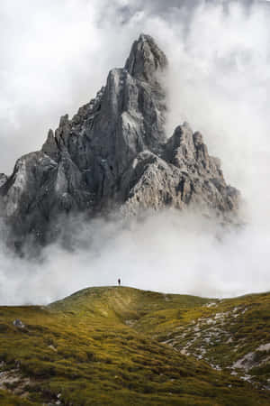 Fondo de naturaleza — Vivo Pad Fondos de pantalla