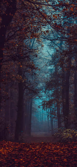 iPhone Estética Otoñal Bosque Oscuro Hojas Naranjas — Oppo Find X Fondos de pantalla