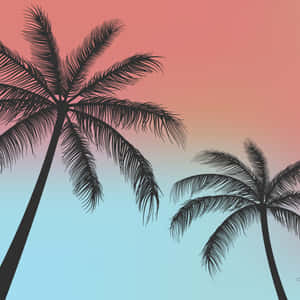 Fondo de Palmeras — iPad 10.ª generación Fondos de pantalla