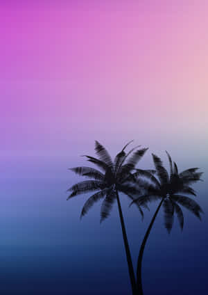 Fondo de palmeras — iPad Air Fondos de pantalla