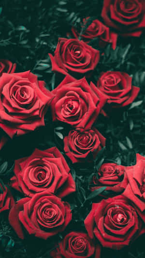 Fondo de pantalla floral cautivador para tu teléfono