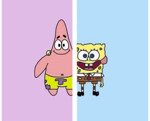 Fondo de pantalla de Patrick y Bob Esponja lindos y combinados para mejores amigos