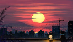 Fondo de pantalla de gato y atardecer para computadora