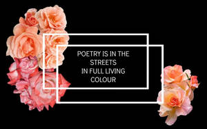 Fondo de pantalla estético indie con cita de poesía y rosas