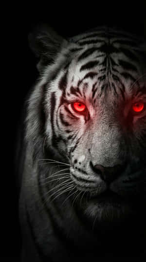 Ojos rojos brillantes, tigre blanco, tigre para iPhone, estética de tigre, 4K oscuro, fantasía, ojos rojos, animal, fondo de pantalla para teléfono