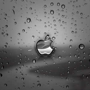 iPad oscuro y lindo
