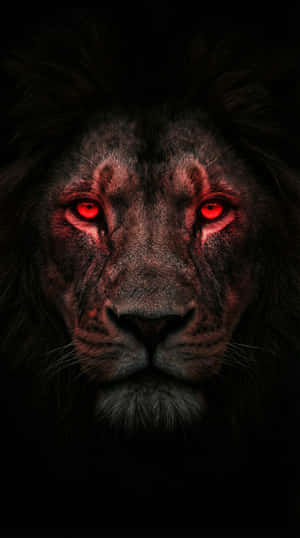 Ojos rojos brillantes, León, Rey León, Oscuro, 4K oscuro, Ojos rojos, león oscuro, león fantástico, fondo de pantalla para celular, estética oscura, Animal