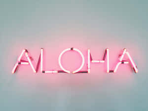Fondo rosa estético — Rosa aesthetic Fondos de pantalla