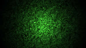 Fondo verde oscuro — Verde oscuro Fondos de pantalla