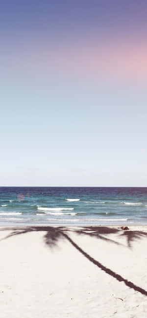 Fondo de Playa para iPhone XS — Floral iPhone Fondos de pantalla