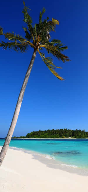 Fondo de Playa iPhone XS — Moto G67 Fondos de pantalla