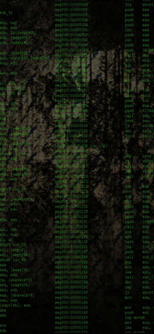 Fondo de programación para iPhone Xs — Oppo A6t Pro Fondos de pantalla