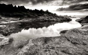 Fondo en blanco y negro — Blanco y negro estético Fondos de pantalla