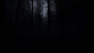 Fondo de tema oscuro
