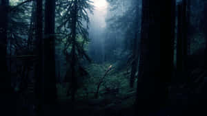 Fondo de tema oscuro
