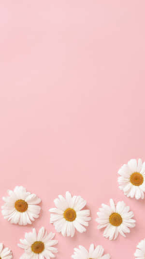 Fondo rosa pastel — Estética rosa pastel Fondos de pantalla