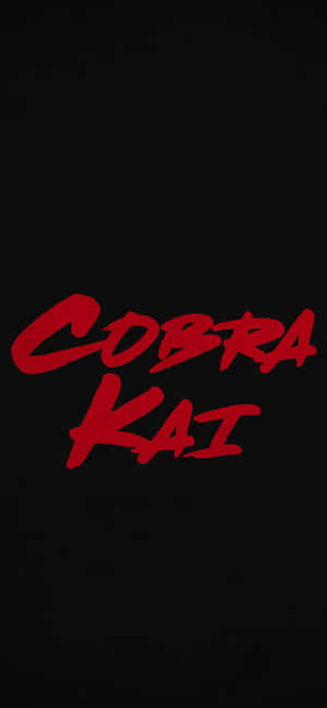 Fondo Cobra Kai para iPhone XR — Oppo Find X Fondos de pantalla