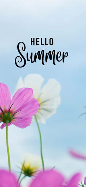 Fondo de Verano para iPhone X — iPhone 11 Pro Max Fondos de pantalla