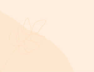 Fondo crema