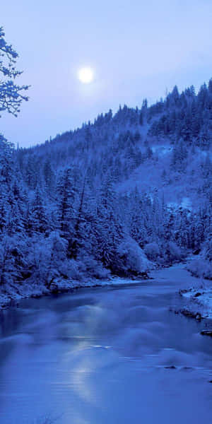 Fondo de invierno para Pixel 3 — Estética de nieve Fondos de pantalla