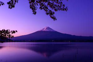 Fondo estético Chromebook Monte Fuji