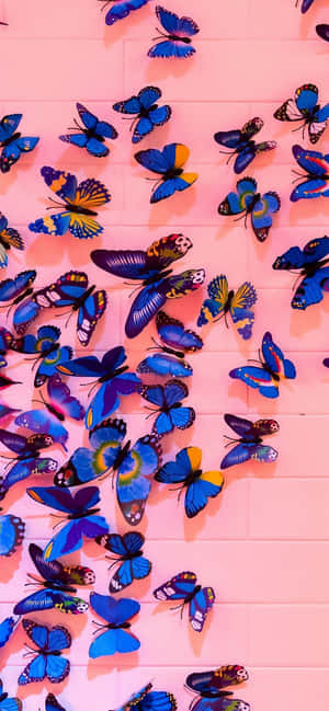 Fondo Estético de Mariposa Elegante — Oppo K13 Turbo Pro Fondos de pantalla