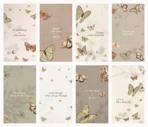 Fondo estético de mariposas encantadoras — Mariposa aesthetic Fondos de pantalla