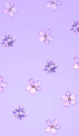 Fondo estético lavanda y púrpura pastel — Morado aesthetic GIF Fondos de pantalla