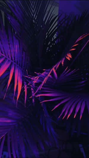 Fondo Estético Púrpura — Morado aesthetic GIF Fondos de pantalla