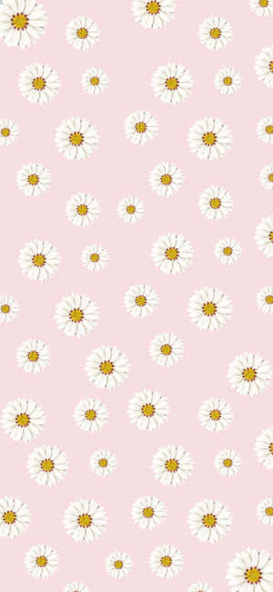 Fondo estético rosa — Honor Play Fondos de pantalla