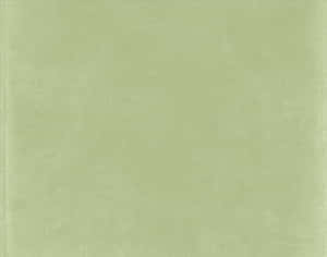 Fondo estético verde salvia sereno — Verde claro aesthetic Fondos de pantalla