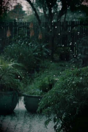 Fondo Estético Verde Oscuro Encantador — Verde oscuro aesthetic Fondos de pantalla