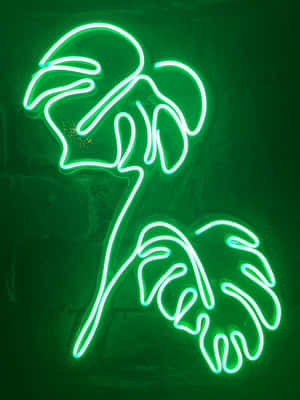 Fondo Estético Verde Neón Vibrante