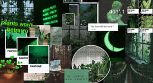 Fondo Estético Verde Oscuro Encantador — Verde oscuro aesthetic Fondos de pantalla