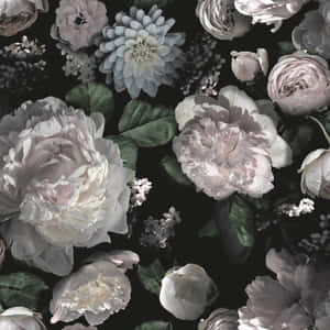 Fondo Floral Oscuro Cautivador — Floral oscuro Fondos de pantalla