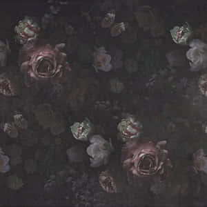 Fondo Floral Oscuro Cautivador — Floral oscuro Fondos de pantalla