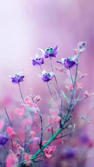Fondo Floral Rosa