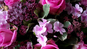 Fondo Floral Rosa