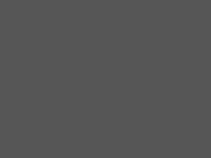 Fondo gris liso sólido