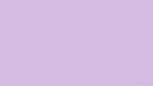 Fondo lila pastel — Morado pastel Fondos de pantalla