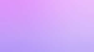 Fondo lila pastel — Morado pastel Fondos de pantalla