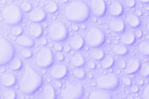 Fondo lila pastel — Morado pastel Fondos de pantalla