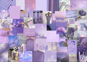Fondo lila pastel — Morado pastel Fondos de pantalla