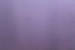 Fondo liso morado — MacBook Air M3 Fondos de pantalla